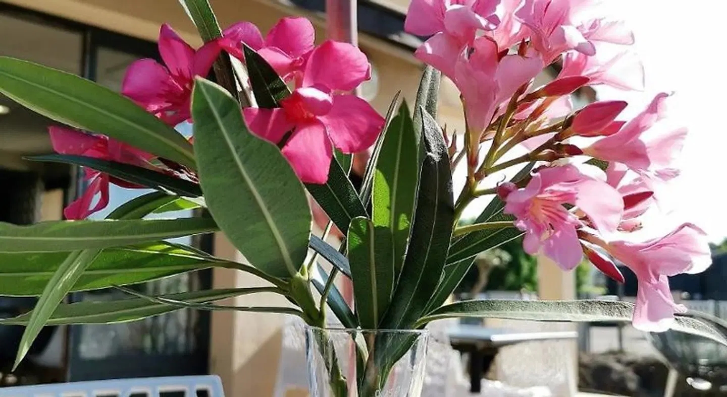 Kyriad Carcassone - Aéroport Sport und Entertainment