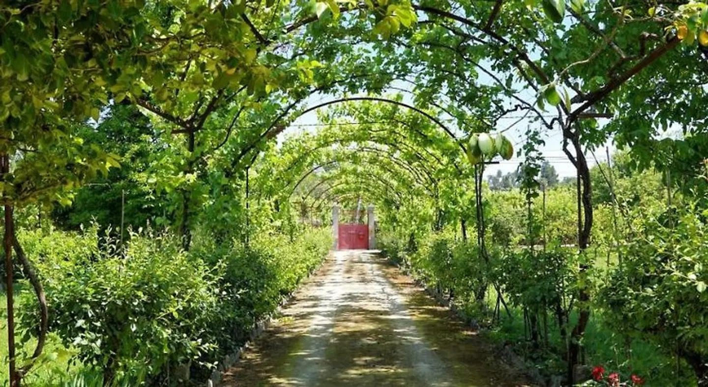 Casa de Docim Garten
