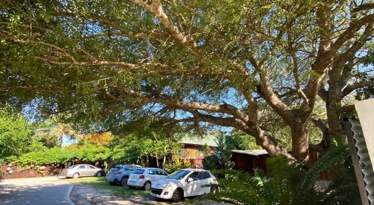 Occi Lodge Garten