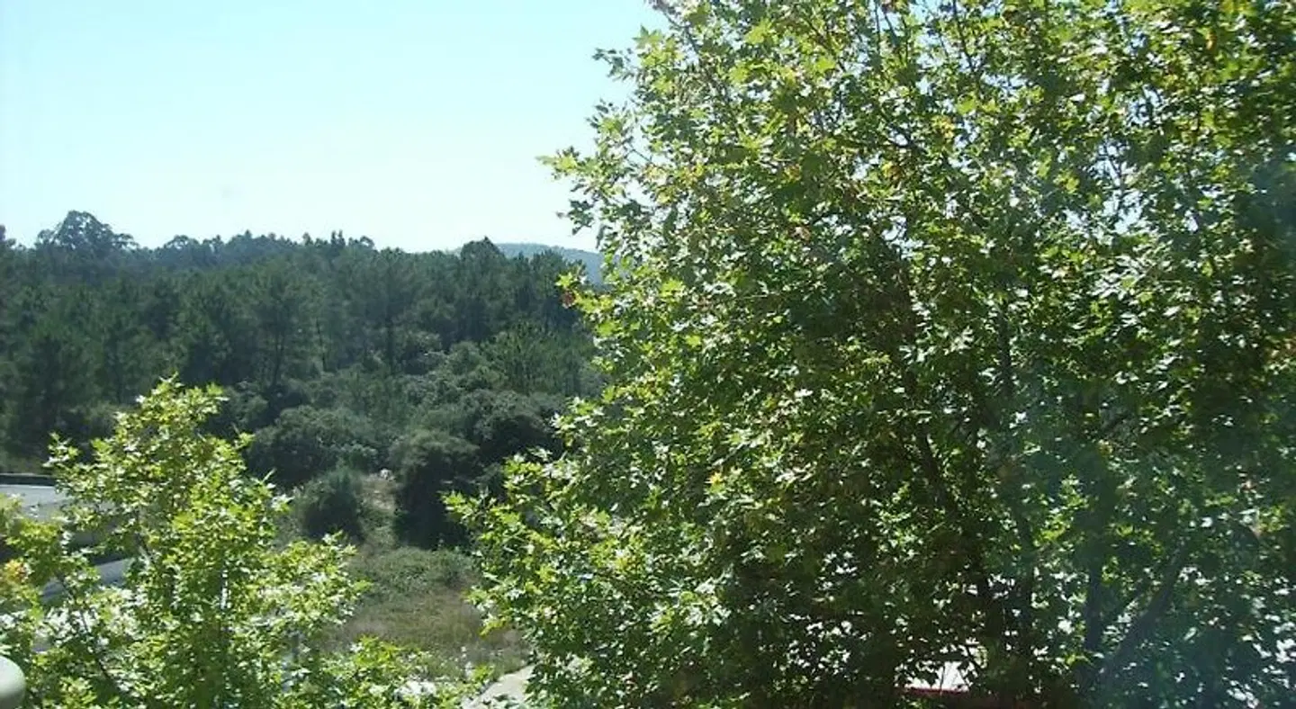 Hotel Peregrinos de Fátima LANDSCAPE