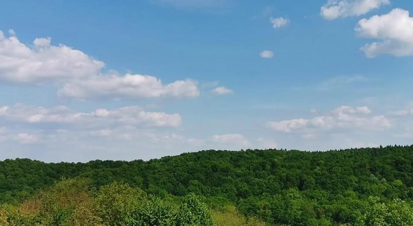 Kuce za odmor -Japin breg LANDSCAPE