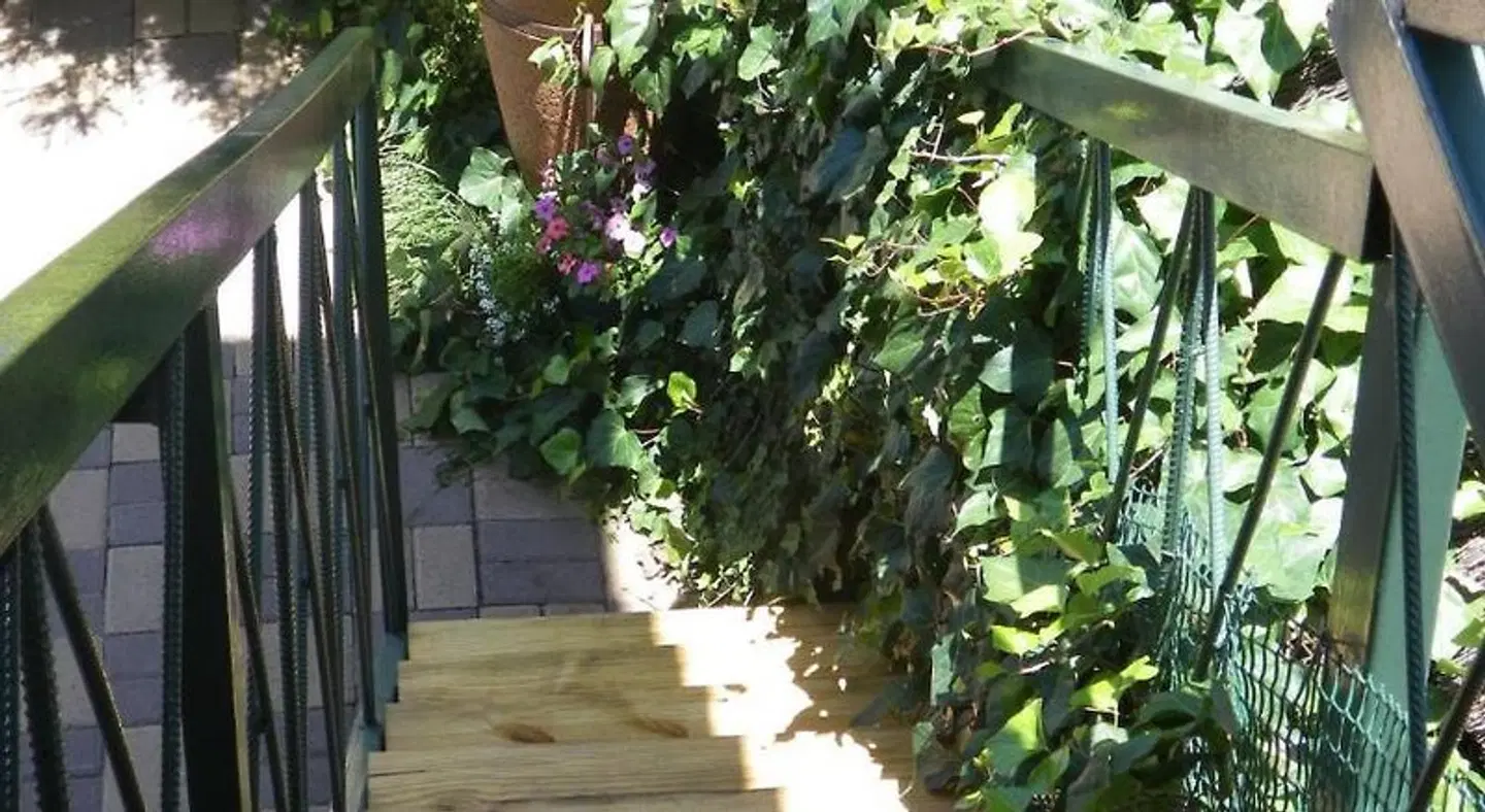 Marnicus Guesthouse Garten
