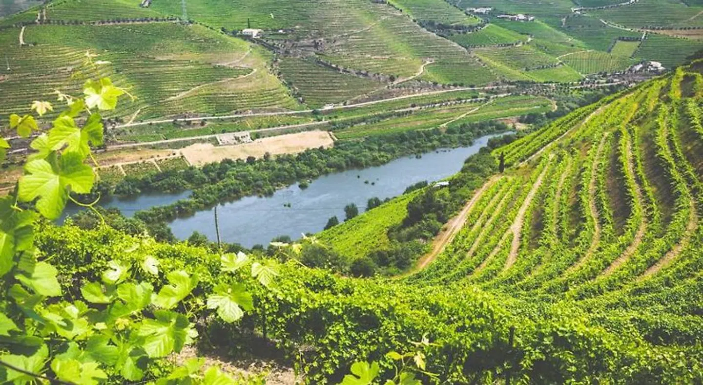 Quinta do Valdalágea LANDSCAPE
