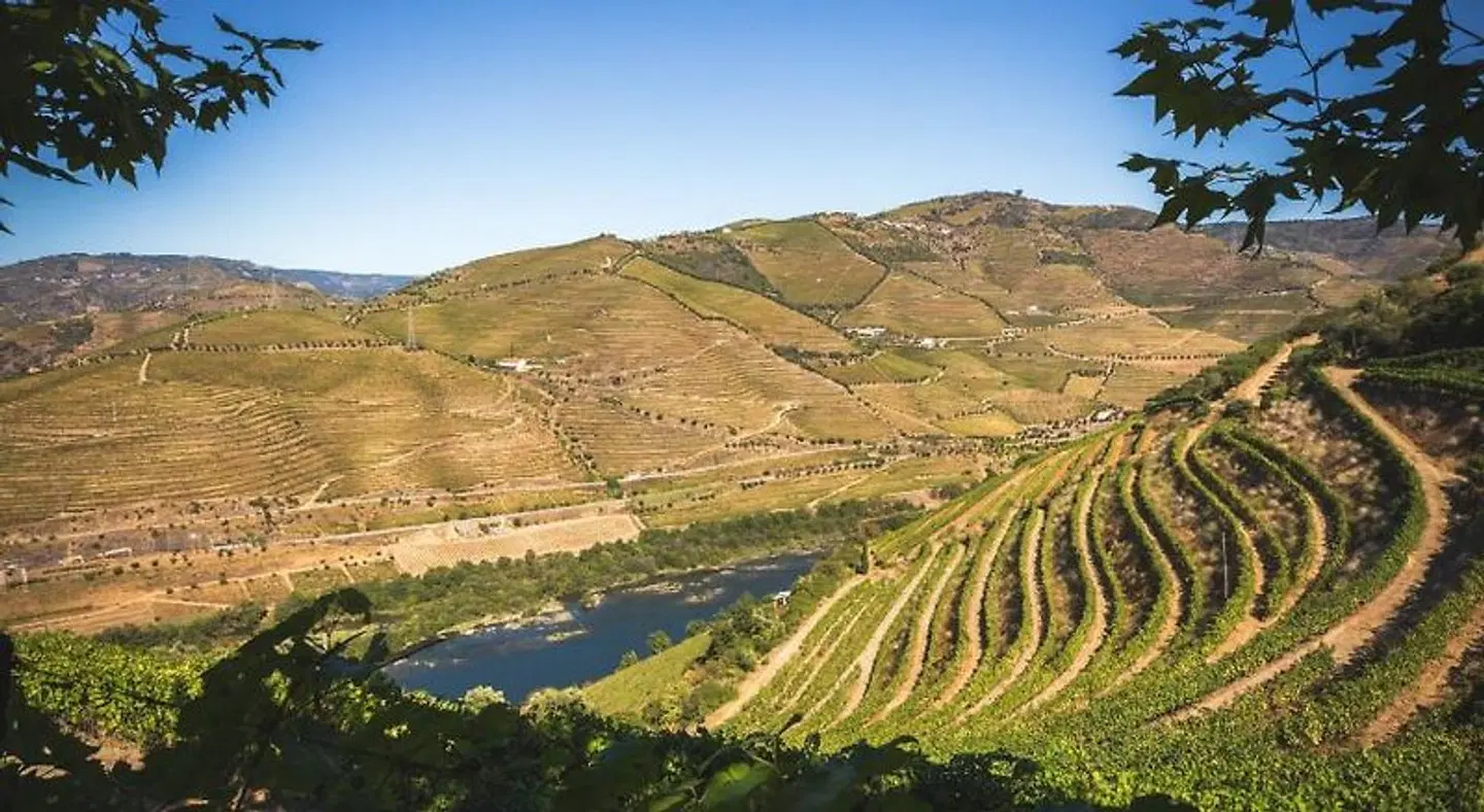 Quinta do Valdalágea LANDSCAPE