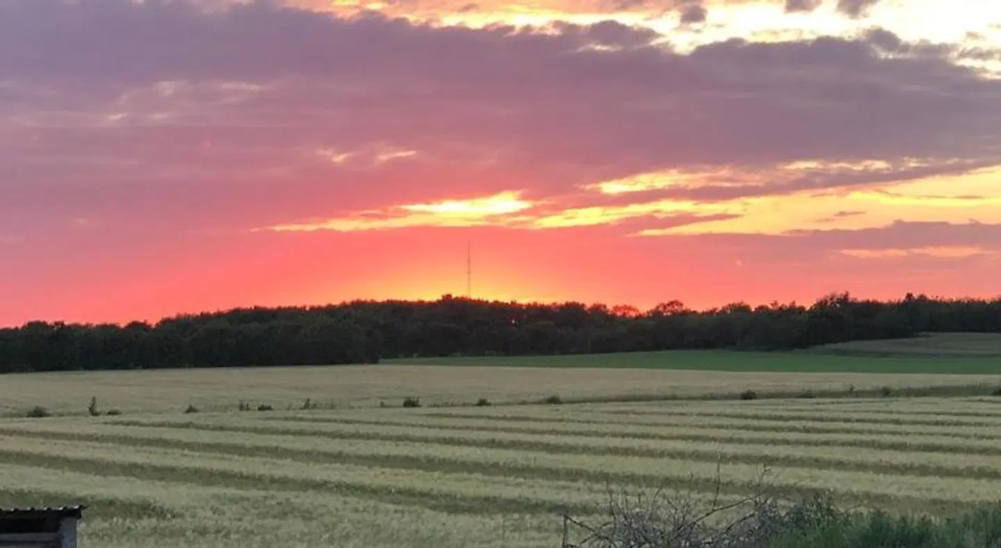 Høloftet LANDSCAPE