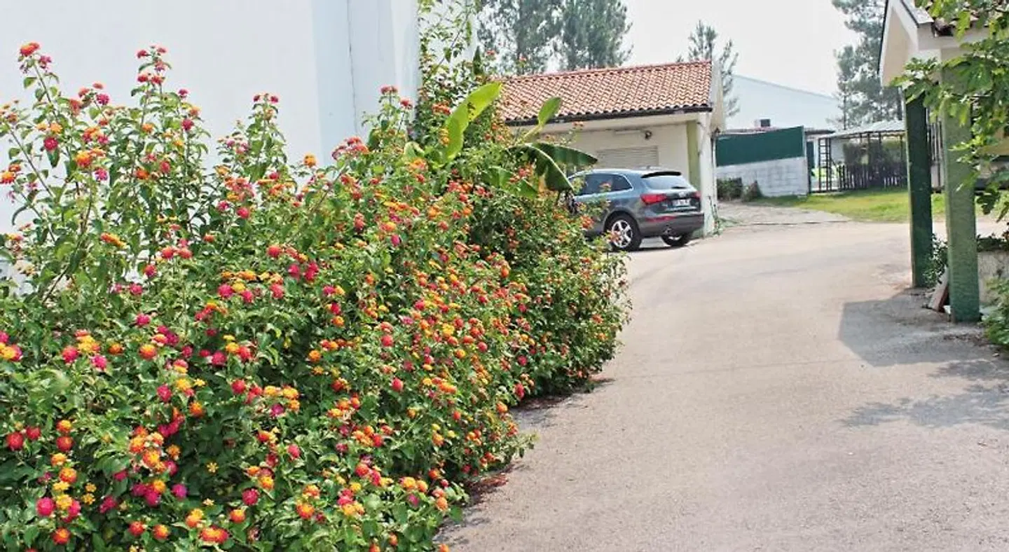 Residencial Pinho Verde Garten