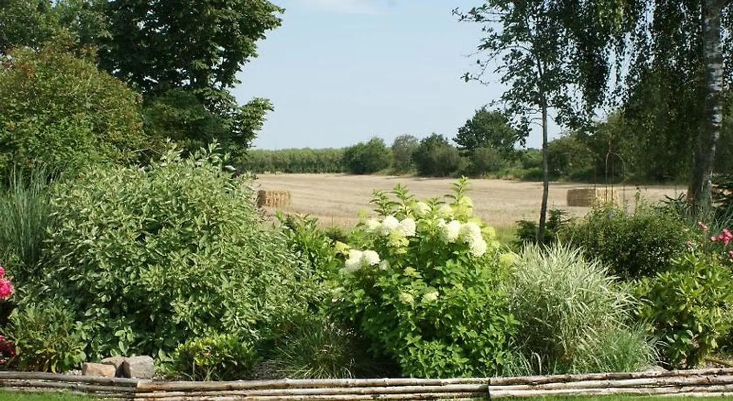 Lustrup Farmhouse LANDSCAPE