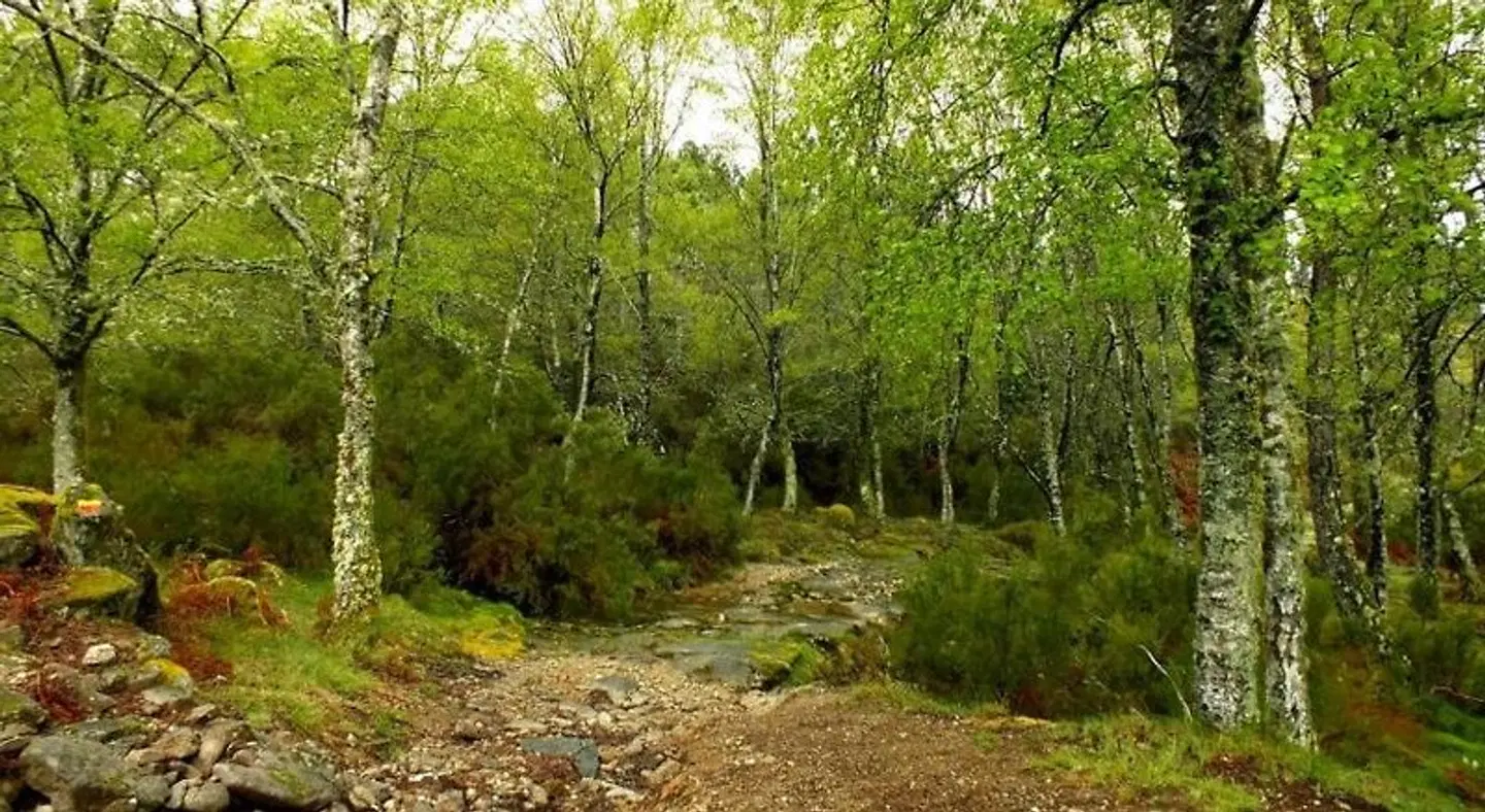 Lago da Garca Guesthouse LANDSCAPE