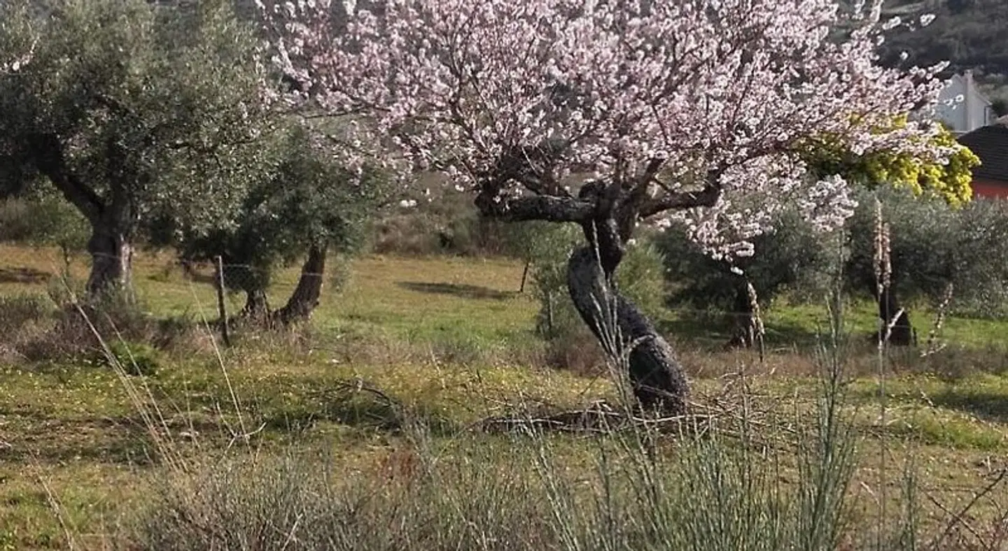 Casa do Prado Tiere