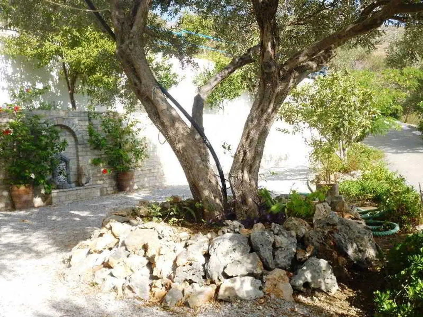 Villa Jota LANDSCAPE