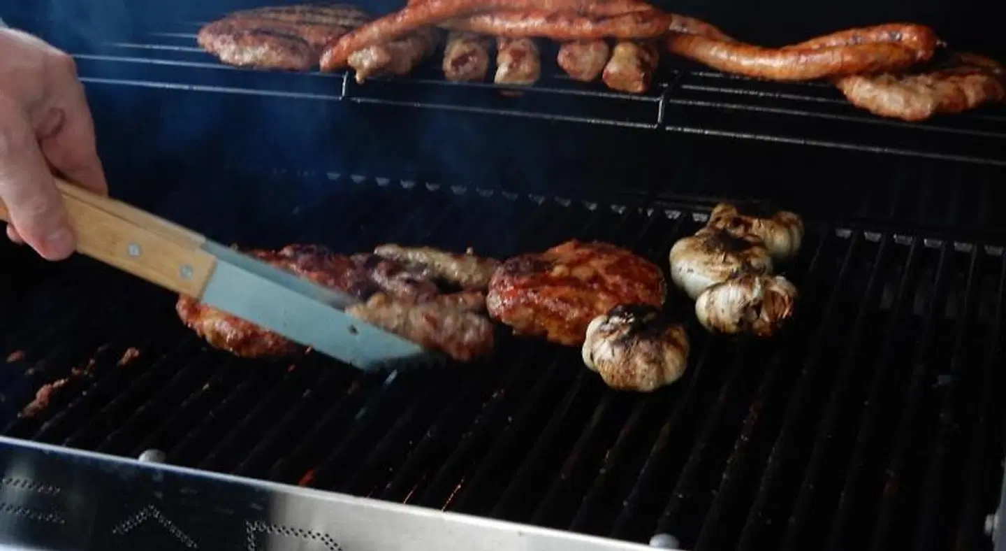 Apartments Aqua Resort Tiere