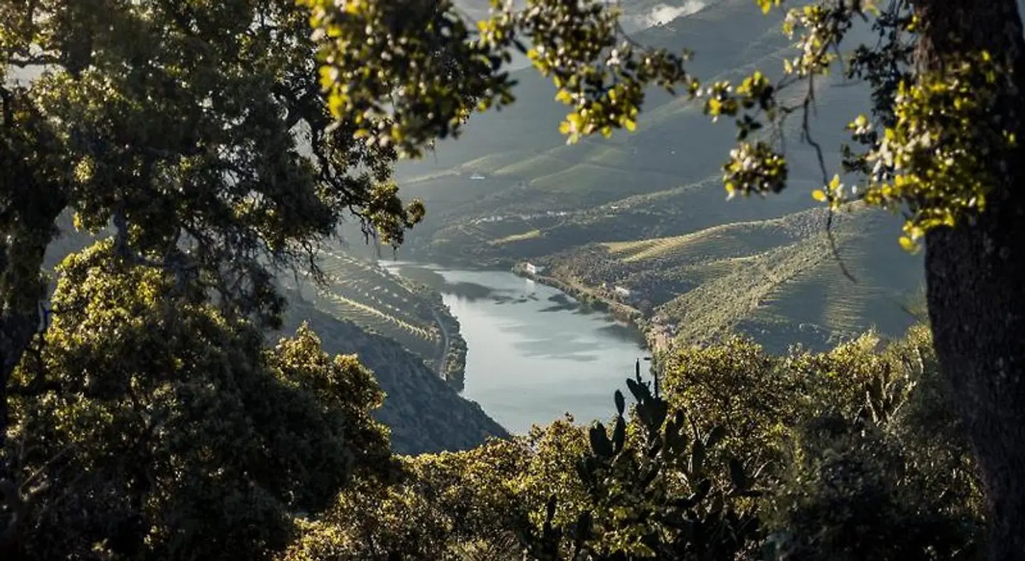 Original Douro Hotel LANDSCAPE