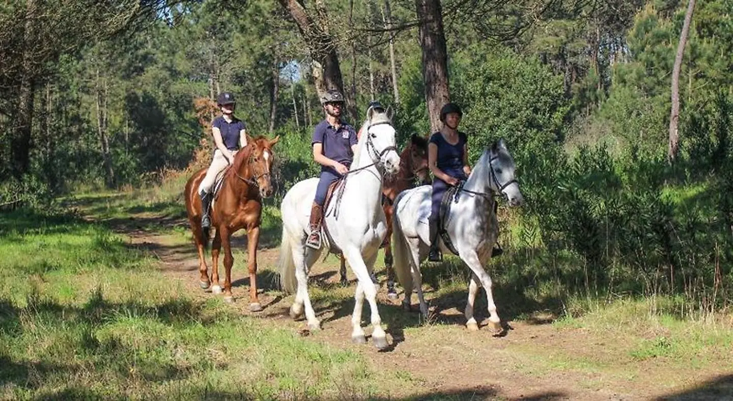 InnEsposende Sports Hostel Tiere