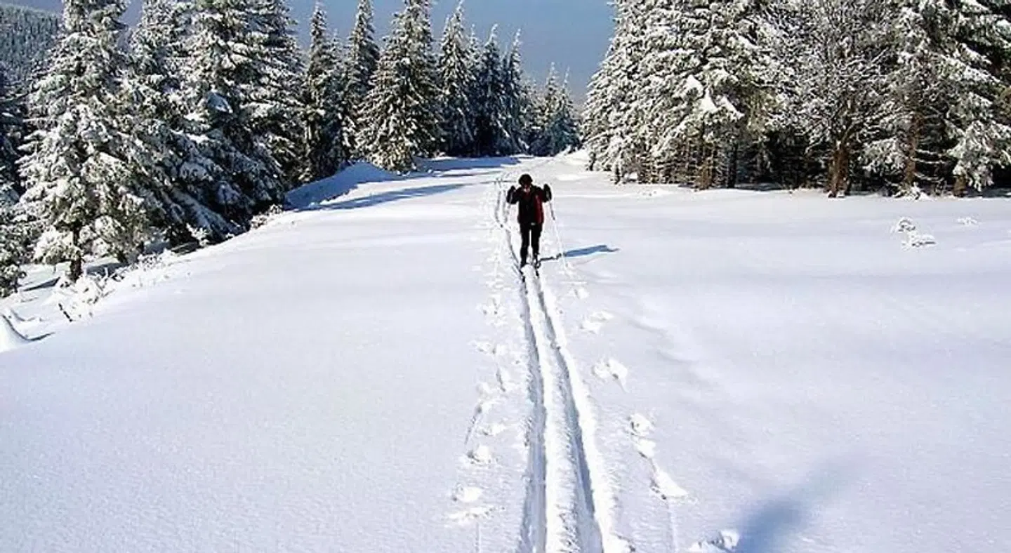 Zum Schneekopf LANDSCAPE
