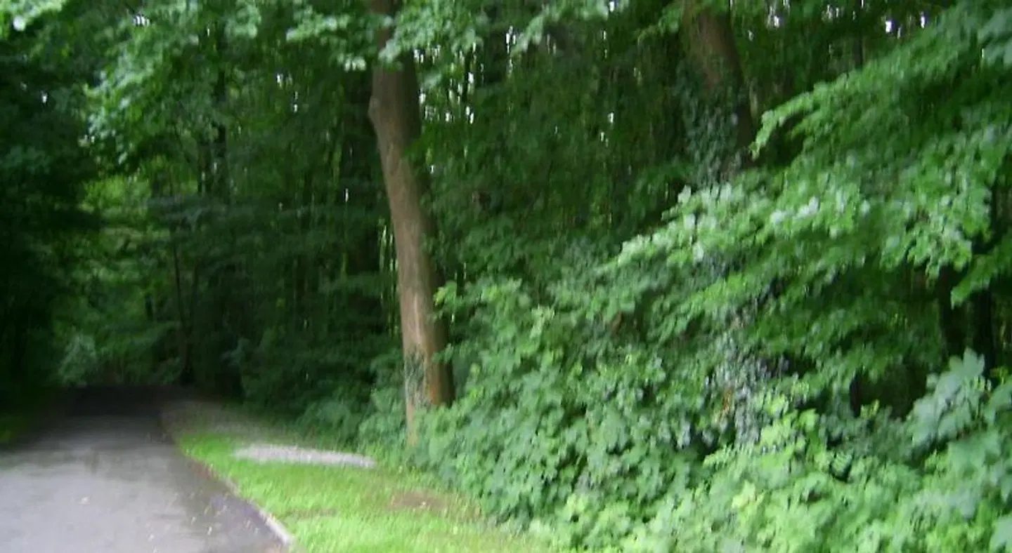 Waldpension Bielefeld LANDSCAPE