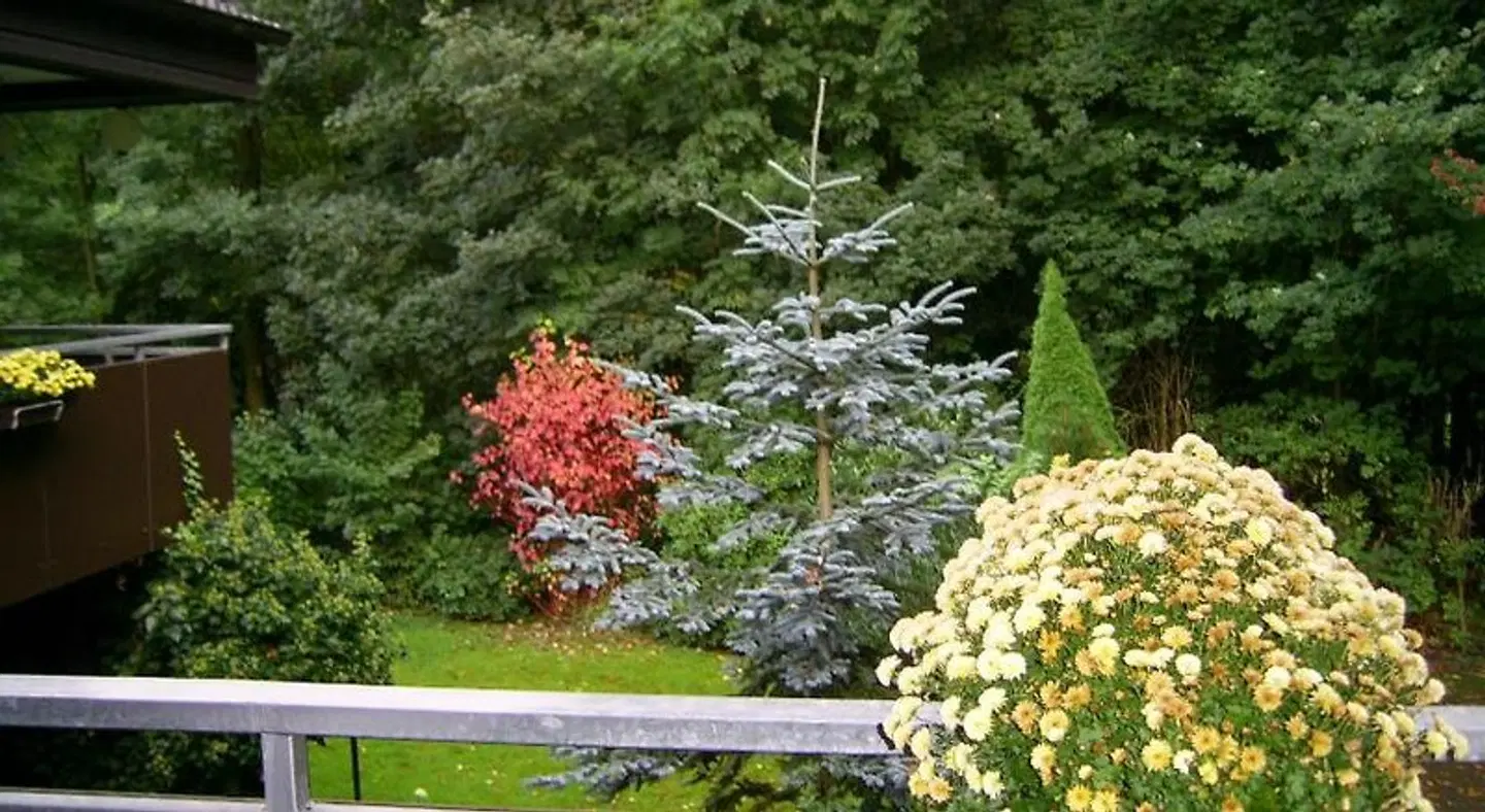 Waldpension Bielefeld LANDSCAPE