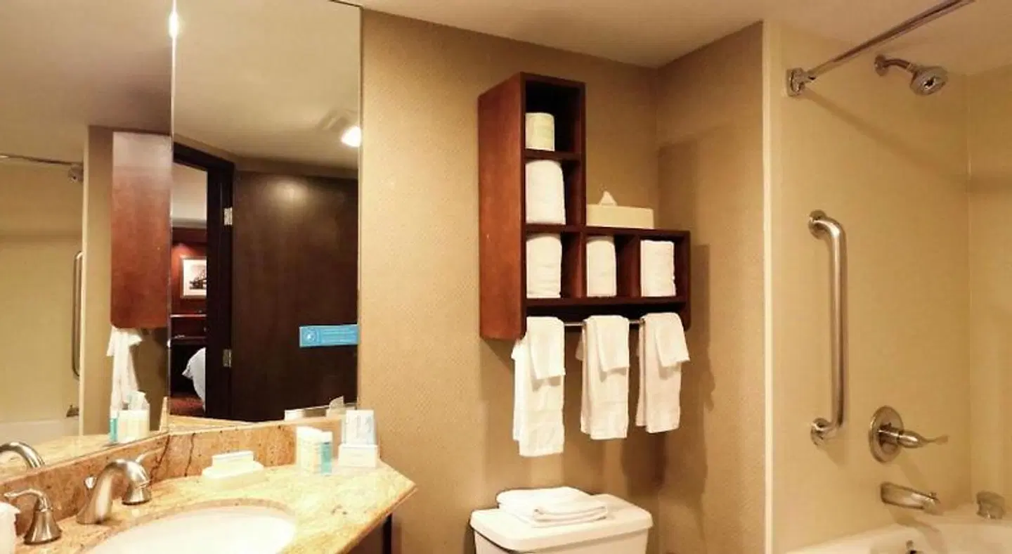 Hampton Inn Columbus-South Badezimmer