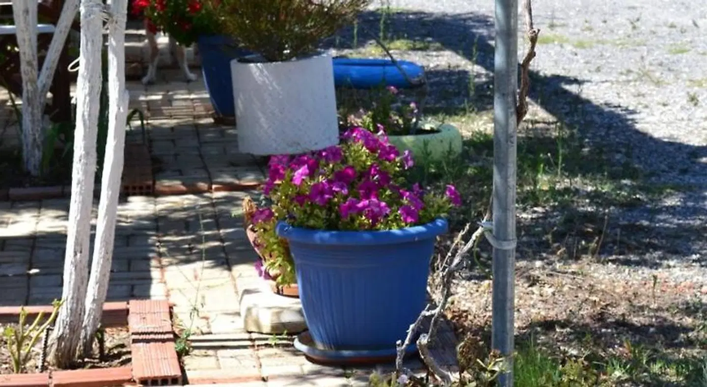 Scorpios Apartments Terrasse