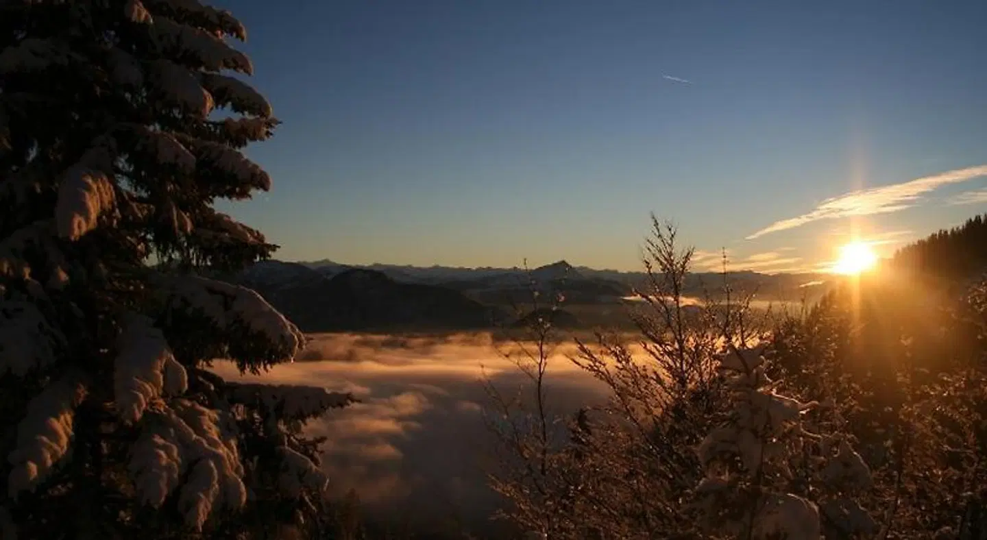 Tiroler Adler LANDSCAPE