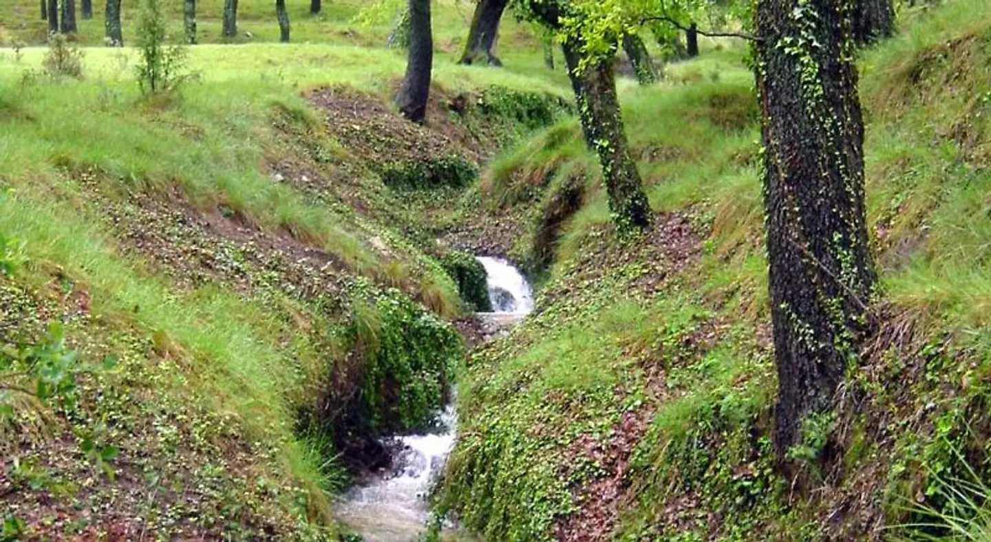 La Piqueta Garten