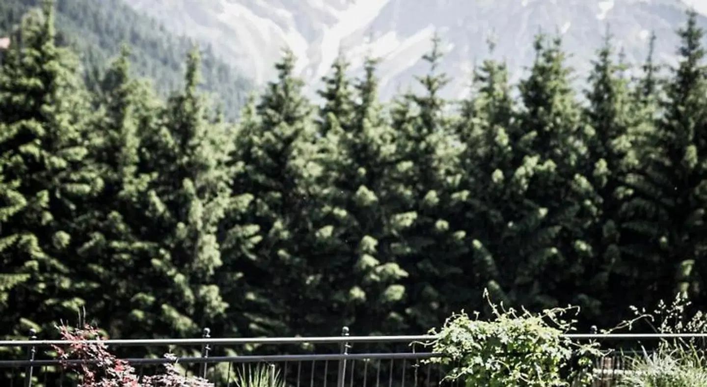 Walserhof LANDSCAPE