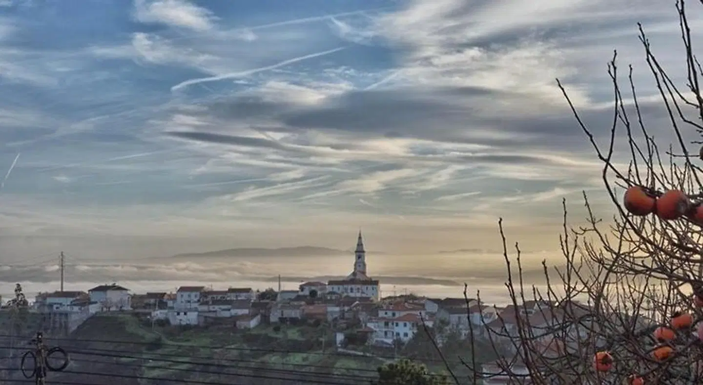 Quinta do Viso LANDSCAPE