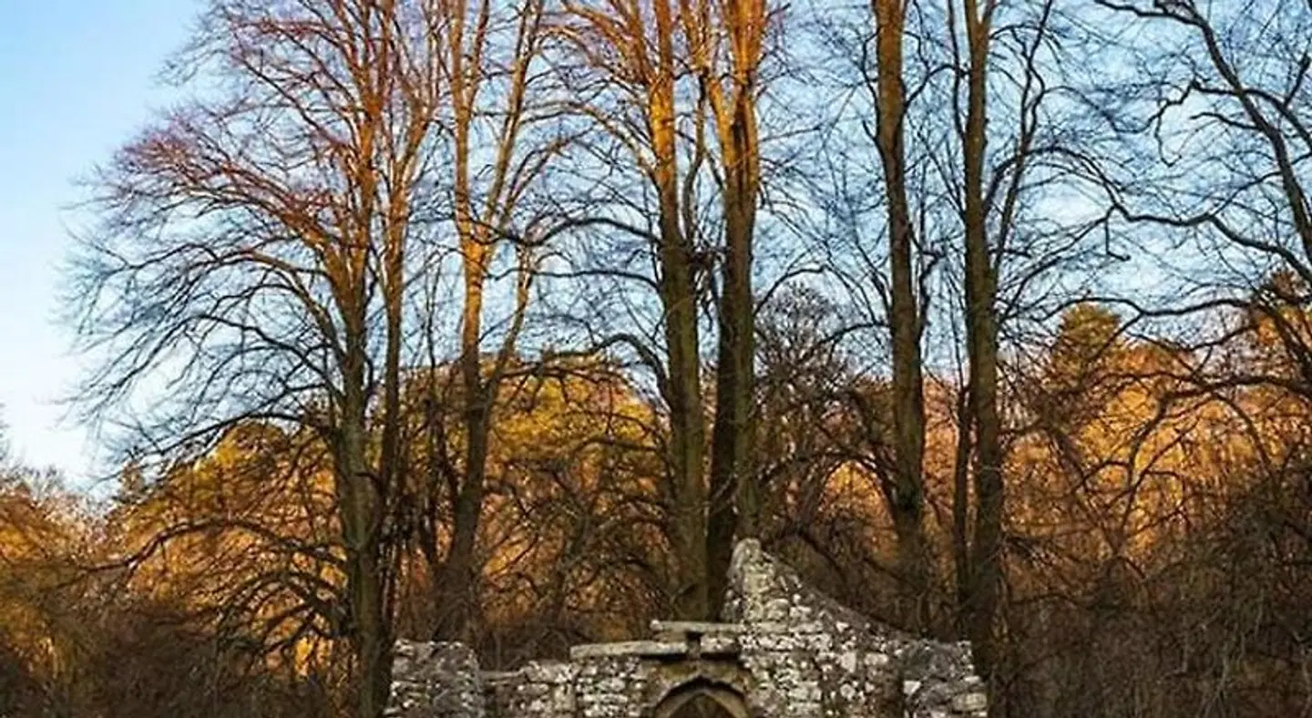 Lily Hill Farm LANDSCAPE