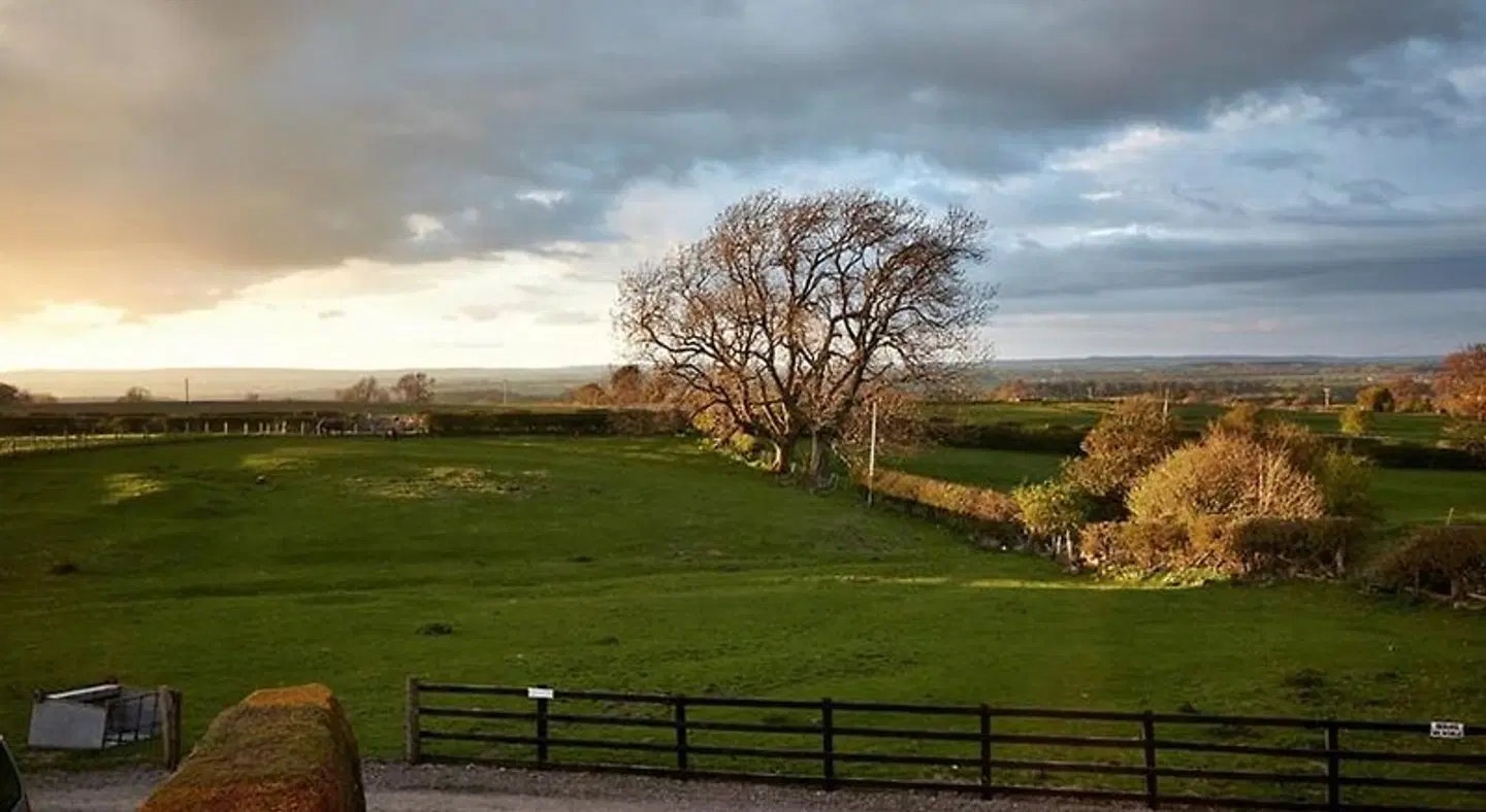 Lily Hill Farm Garten