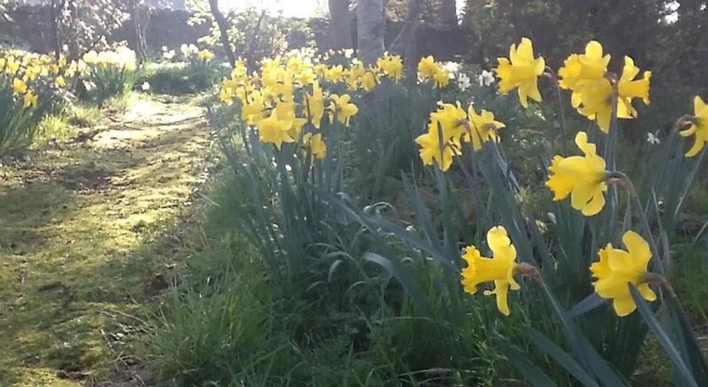 Highfield House LANDSCAPE