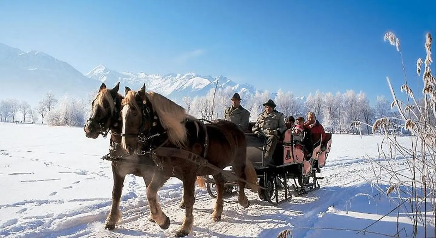 Haus Unterberger Tiere