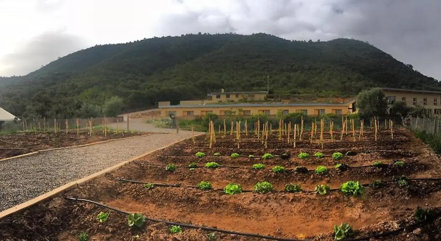 Mar de Fulles LANDSCAPE