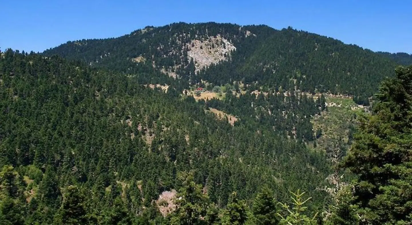 Hani Mpagasaki LANDSCAPE