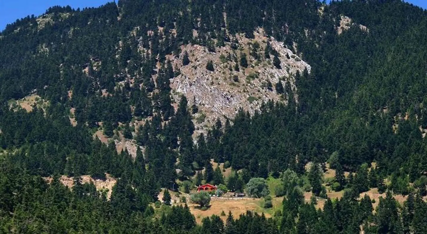 Hani Mpagasaki LANDSCAPE