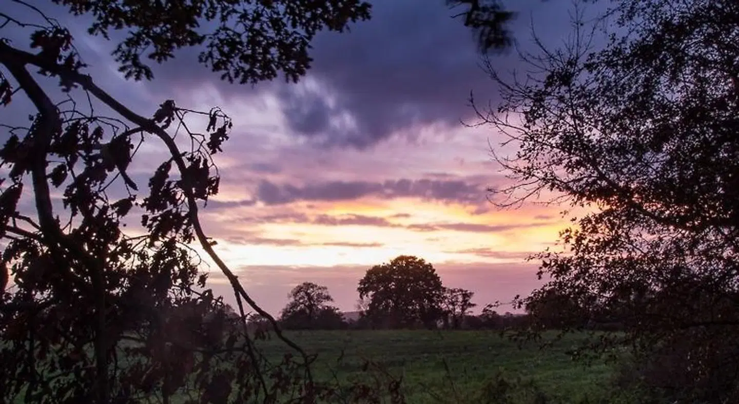 The Moorhead Bed & Breakfast LANDSCAPE