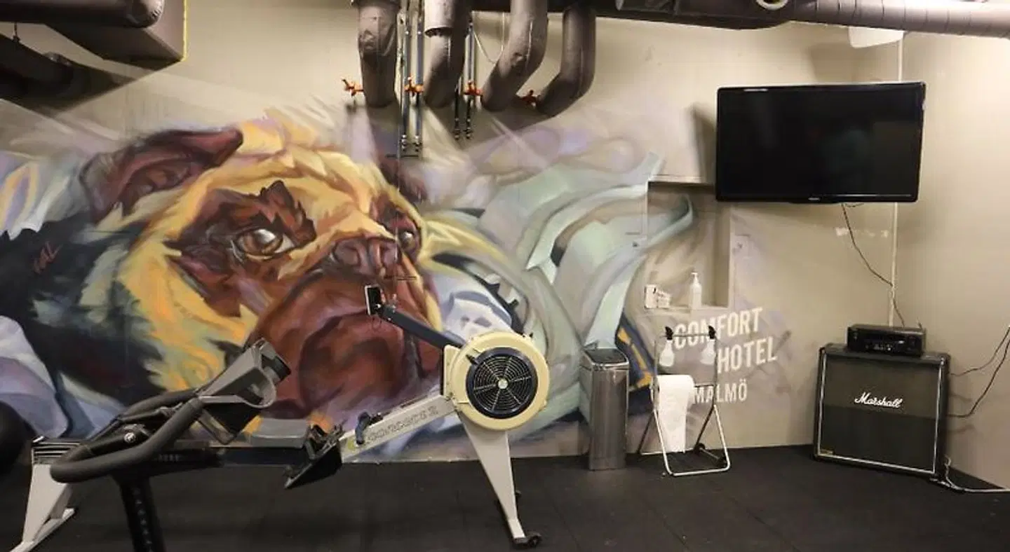 Comfort Hotel Malmö Tiere