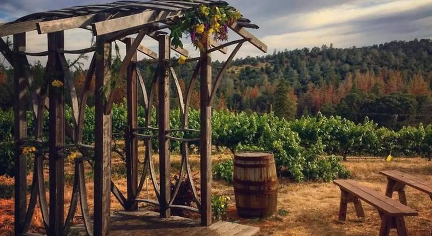 Papillon Cellars Garten