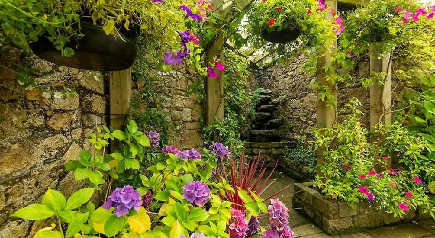 Step House Hotel Garten