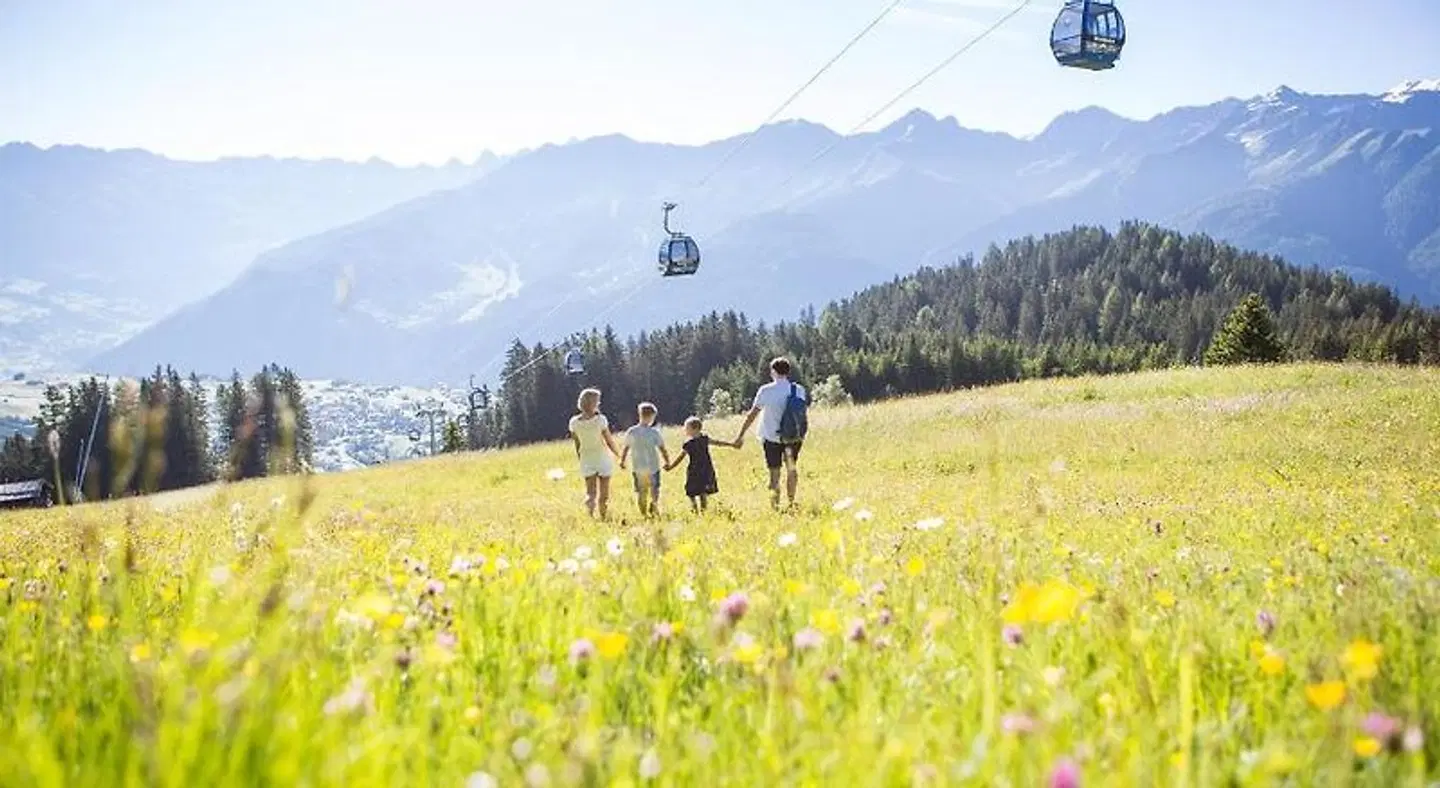 Apartment Pale Tiere