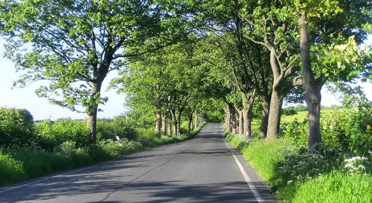 Hotel Baumhaus Hagen Garten