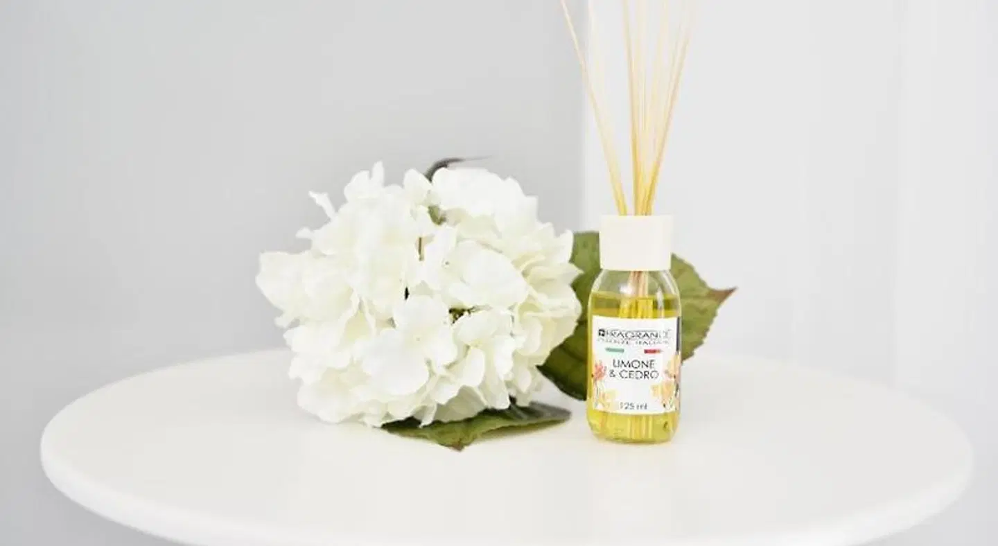 Insula House B&B Landkarte