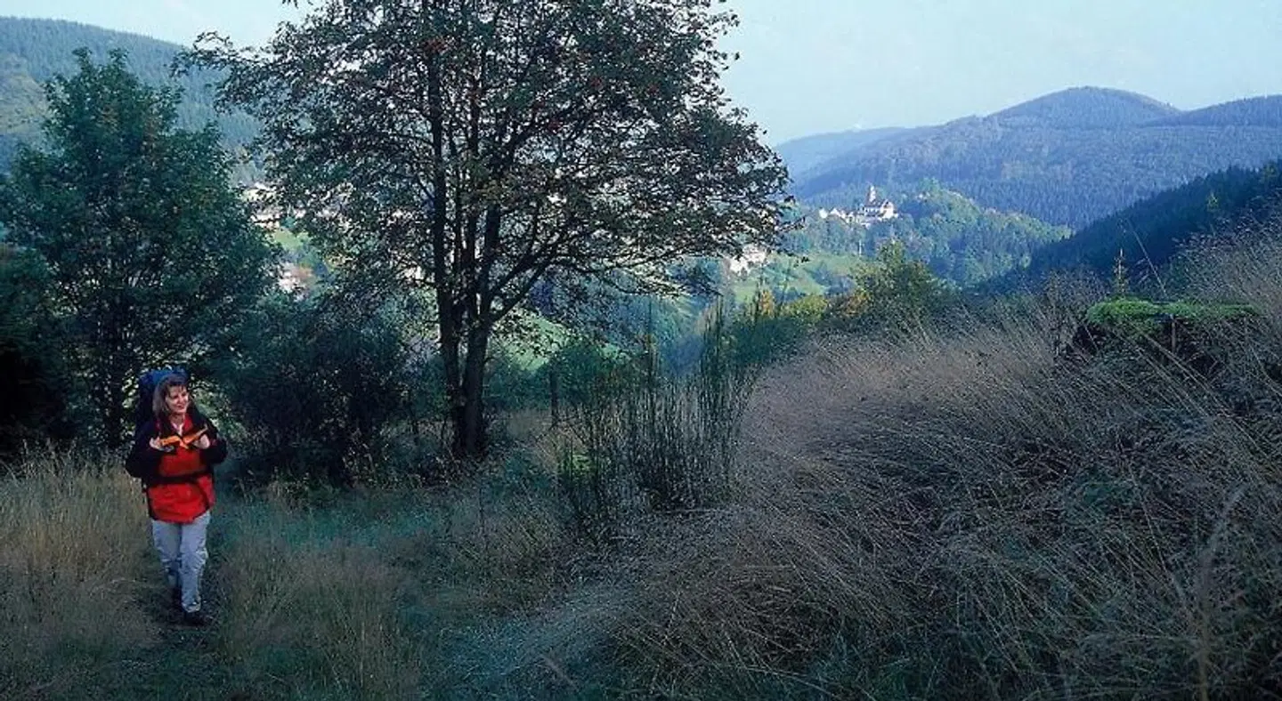 Hotel Schieferhof LANDSCAPE