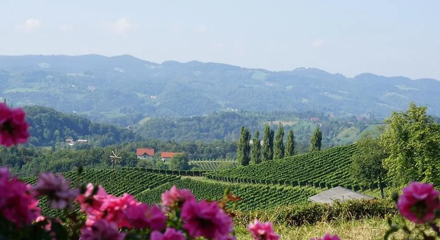 Weingut Hotel Restaurant Mahorko LANDSCAPE