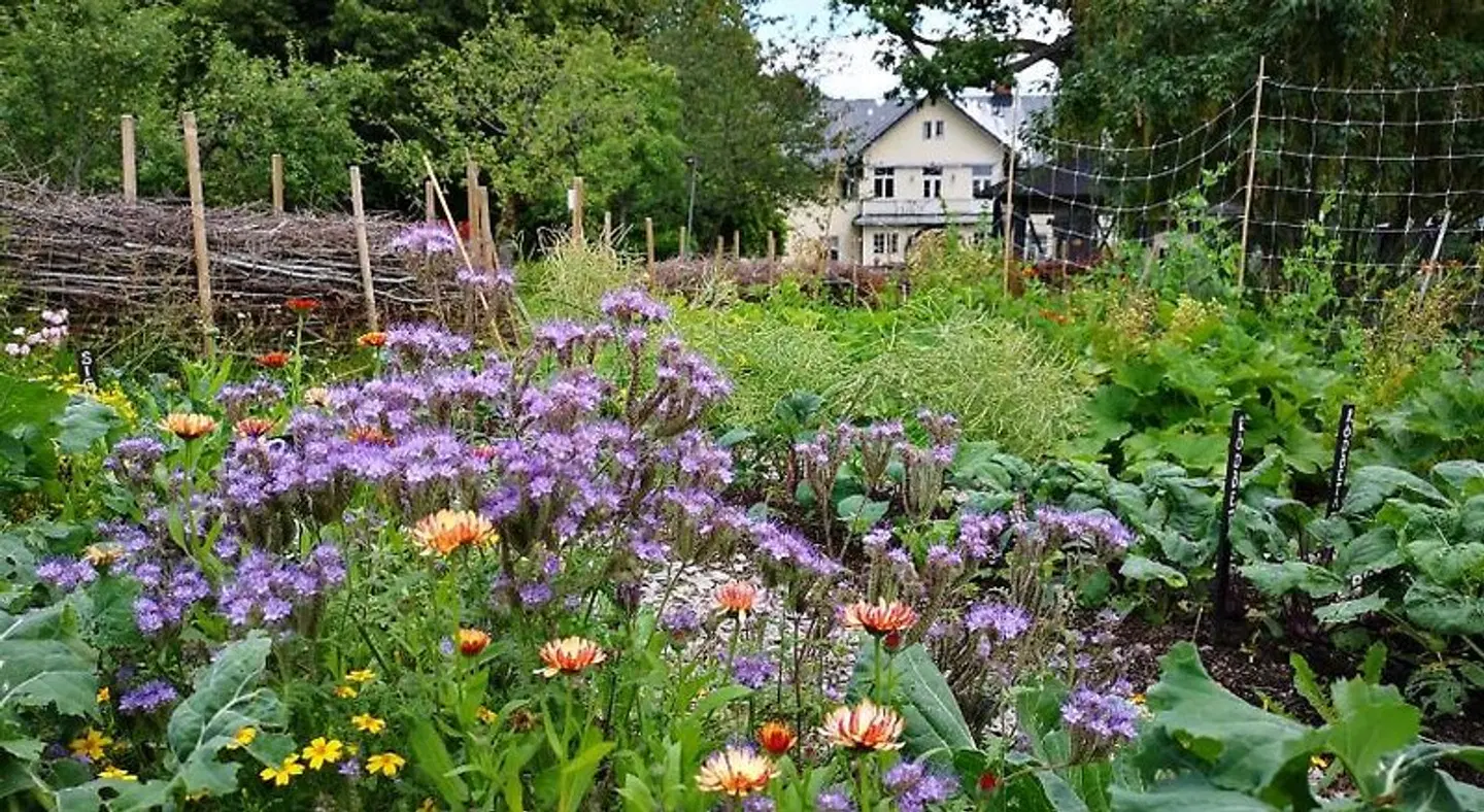 Disponentparken Café och Bed & Breakfast Garten