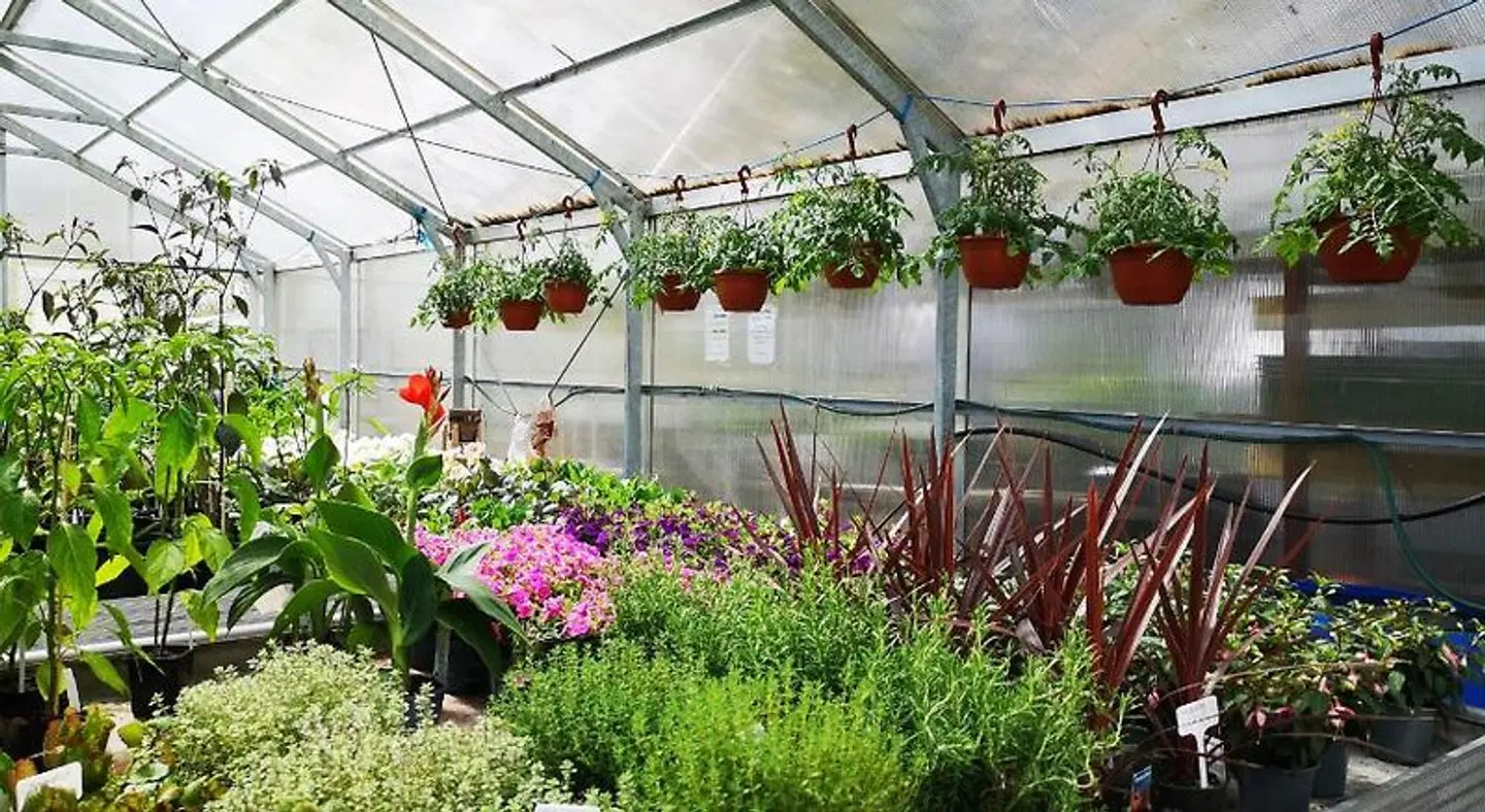 Disponentparken Café och Bed & Breakfast Garten