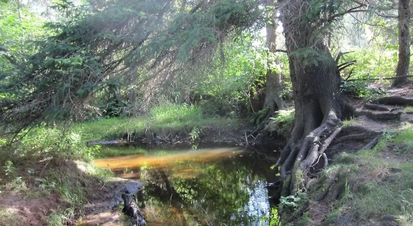 Højgaarden LANDSCAPE