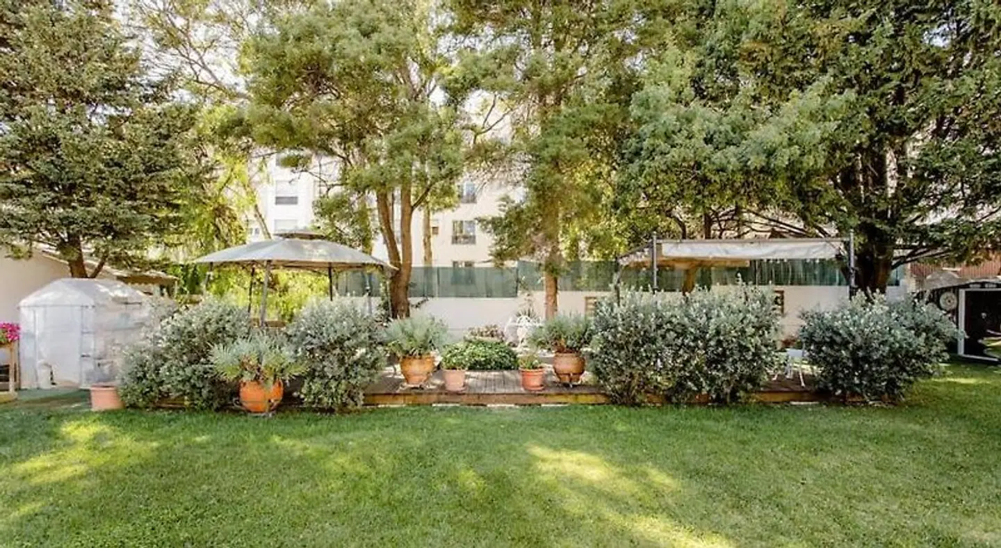 Paradise Suites Garten