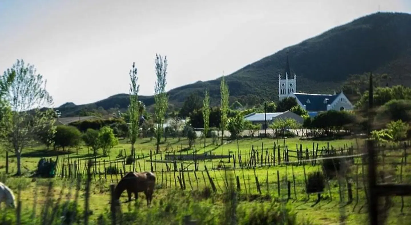 Barrydale Karoo Hotel Tiere