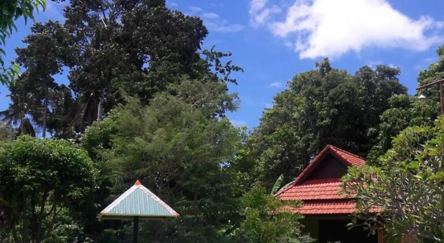 Green Villa EXTERIOR