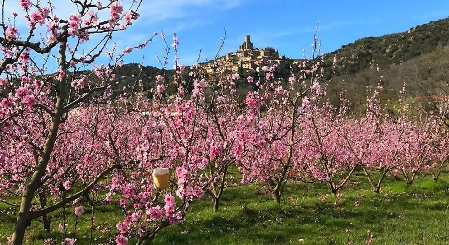 Casa Ilicia Tiere