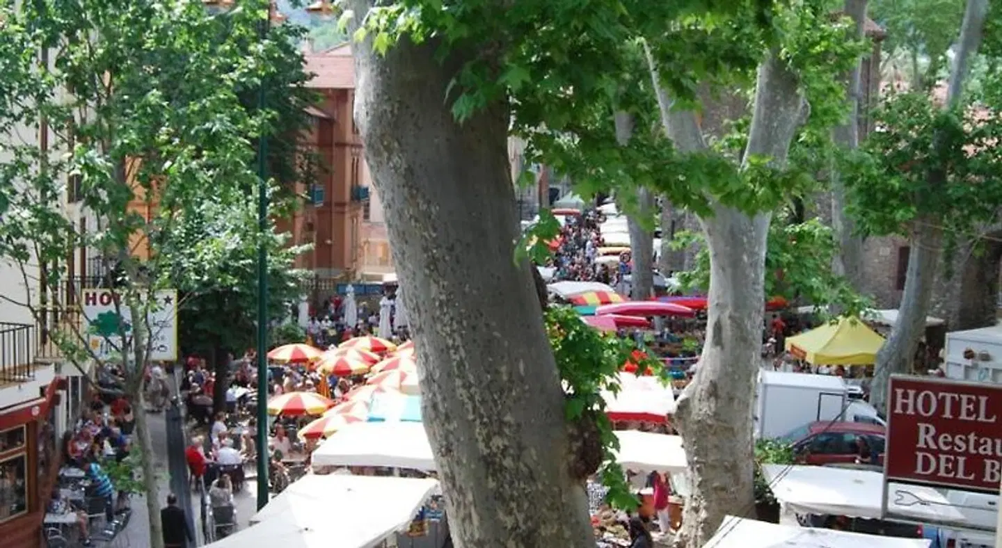 Hotel Vidal Terrasse